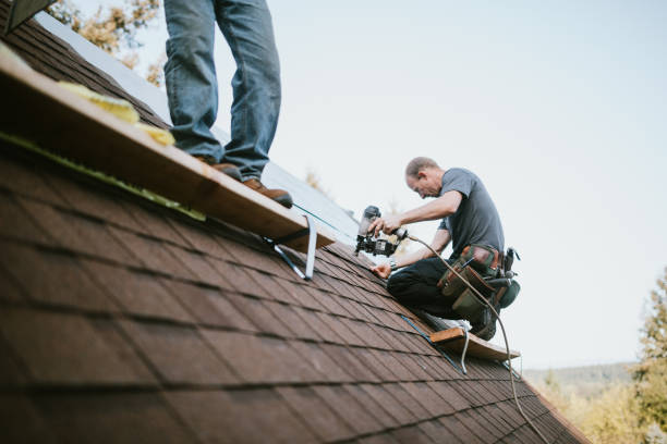 Quick and Trustworthy Emergency Roof Repair Services in Trenton, TN