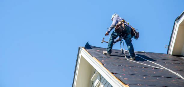 Best Storm Damage Roof Repair  in Trenton, TN